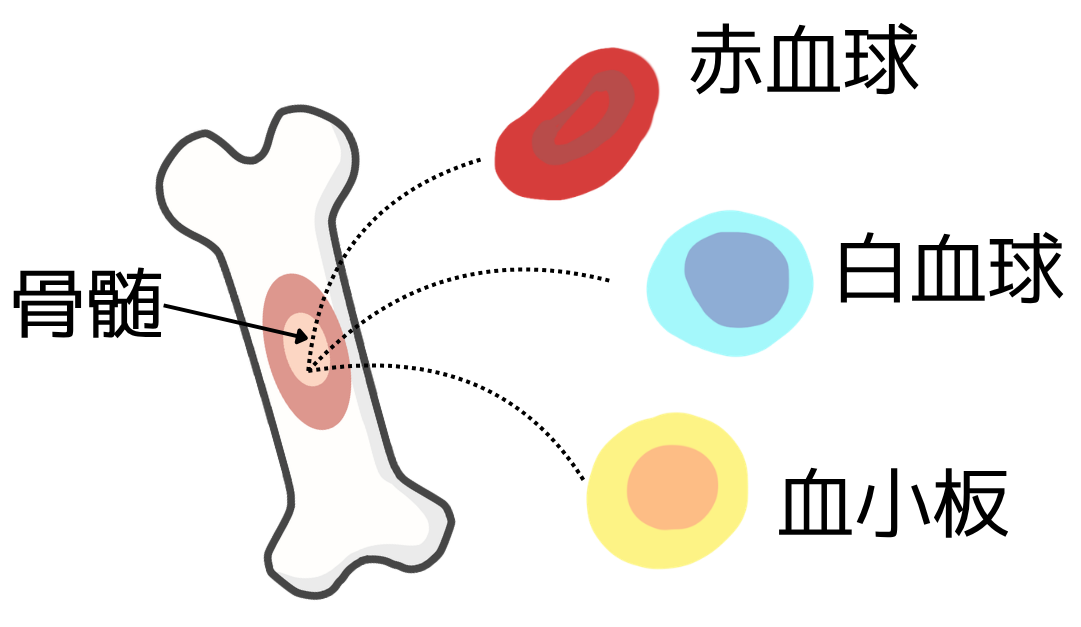 c00a685bb293d25c088f64180c50a4ea-1788398407.png