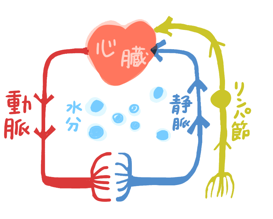 51d843c70e867fe0c7a2879c156e0e78-1790924602.png